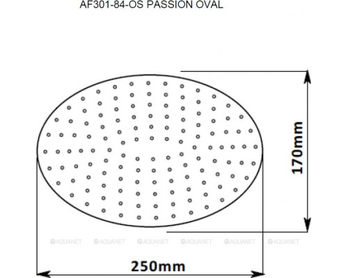 Верхний душ Aquanet Passion AF301-84-OS